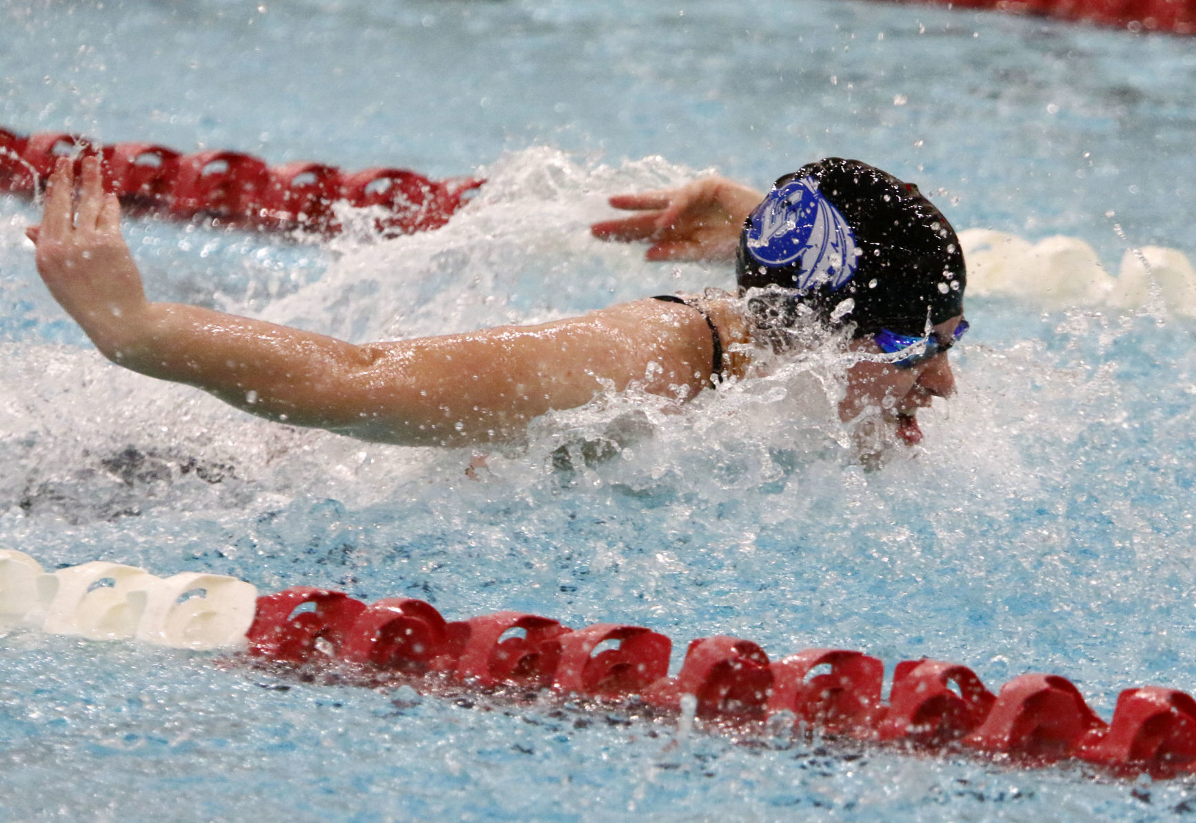 DAC girls swim meet